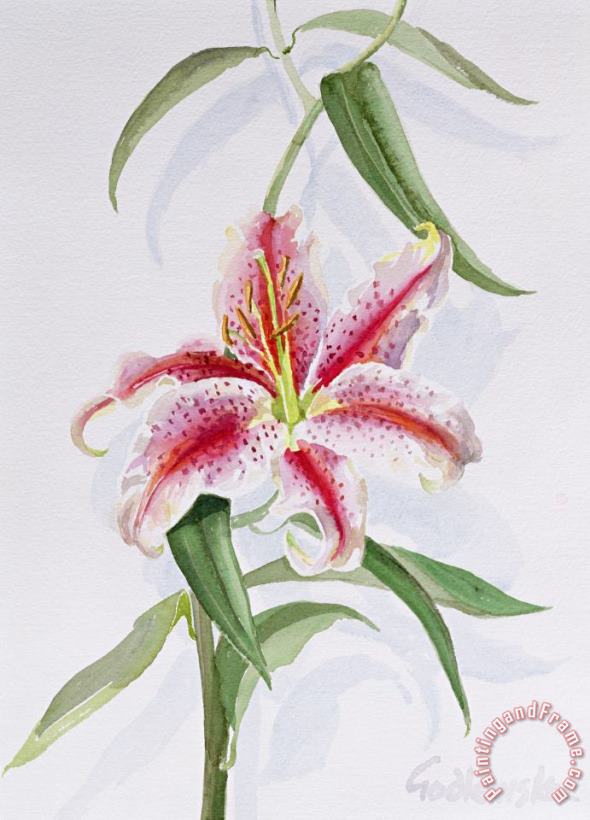Izabella Godlewska de Aranda Lily Art Painting
