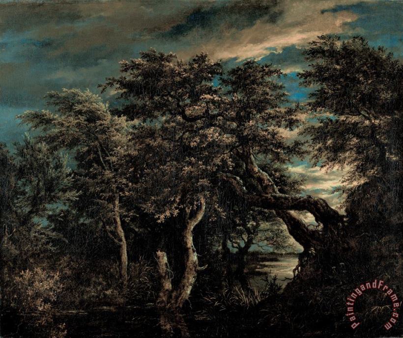 Jacob Isaacksz. Van Ruisdael A Marsh in a Forest at Dusk Art Painting