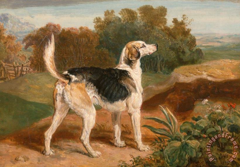 Ravager, One of The Lambton Hounds painting - James Ward Ravager, One of The Lambton Hounds Art Print