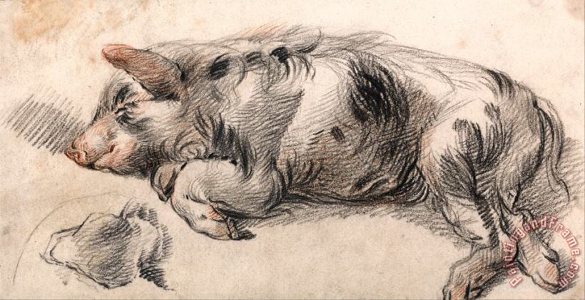 Sleeping Pig painting - James Ward Sleeping Pig Art Print