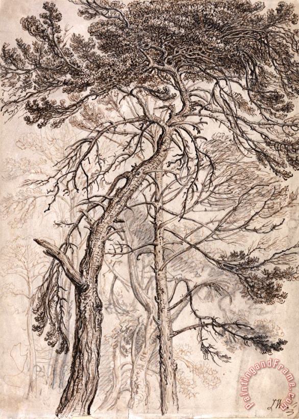 Study of Trees painting - James Ward Study of Trees Art Print