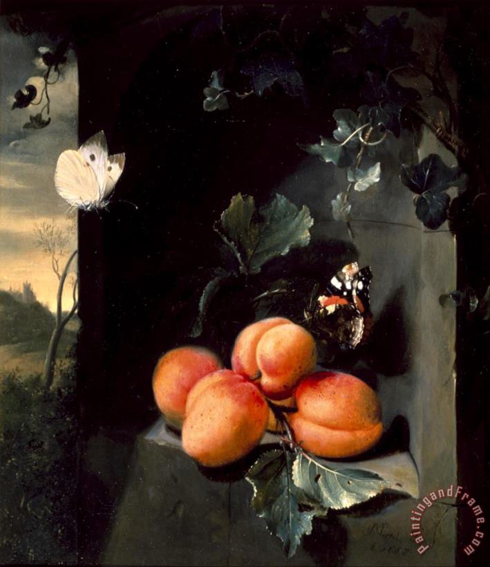Still Life with Apricotes And Butterflies painting - Jan Mortel Still Life with Apricotes And Butterflies Art Print