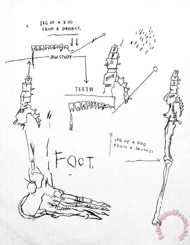 Leg of a Dog, From Da Vinci, 1983 painting - Jean-michel Basquiat Leg of a Dog, From Da Vinci, 1983 Art Print