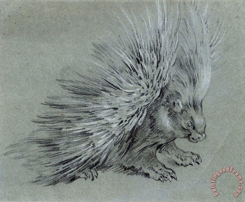 Porcupine painting - Jean Baptiste Oudry Porcupine Art Print