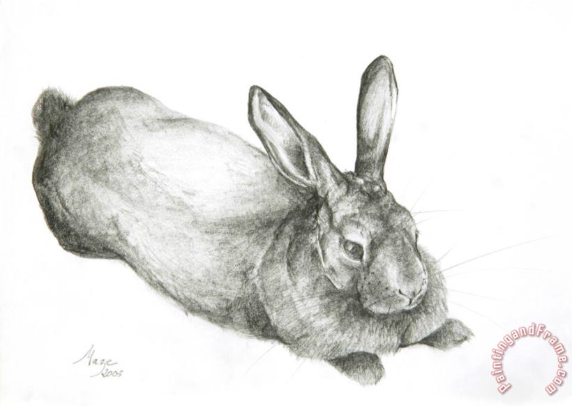 Rabbit painting - Jeanne Maze Rabbit Art Print