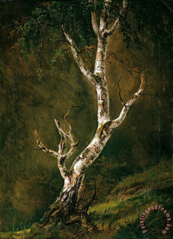 Johan Christian Dahl Study of a Birch Tree Art Painting