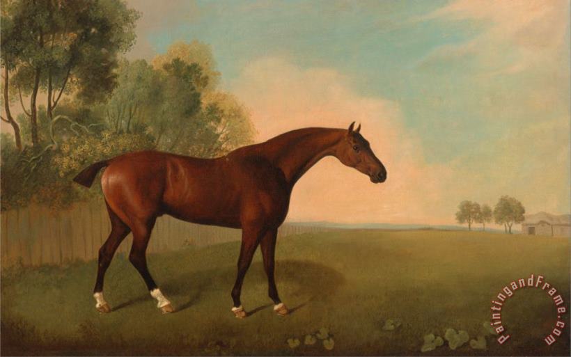 John Boultbee A Bay Horse in a Field Art Painting