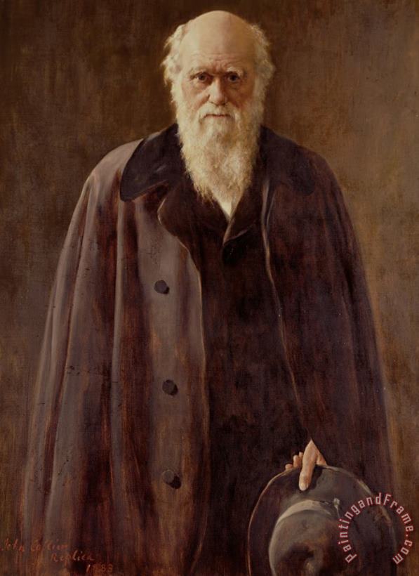 John Collier Portrait Of Charles Darwin Art Print