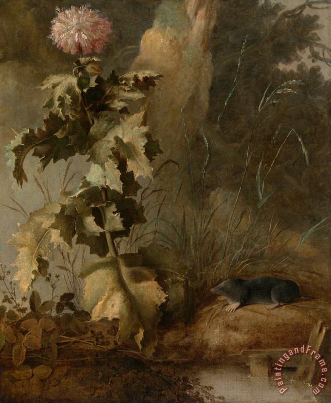 John Crome An Egyptian Poppy And a Water Mole Art Painting