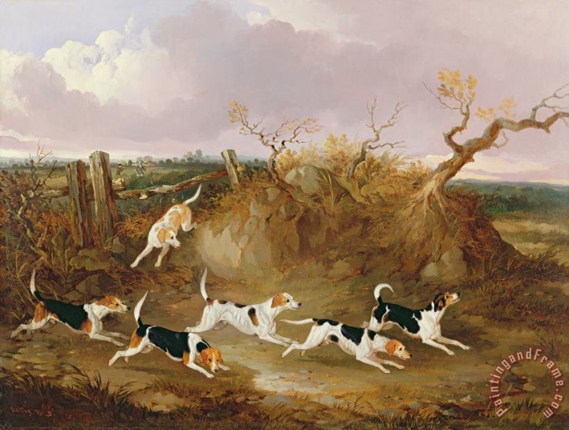 John Dalby Beagles in Full Cry Art Painting