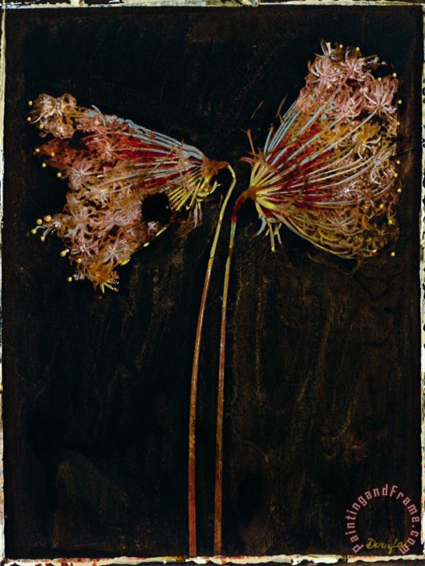 John Douglas Floral Negative II Art Print