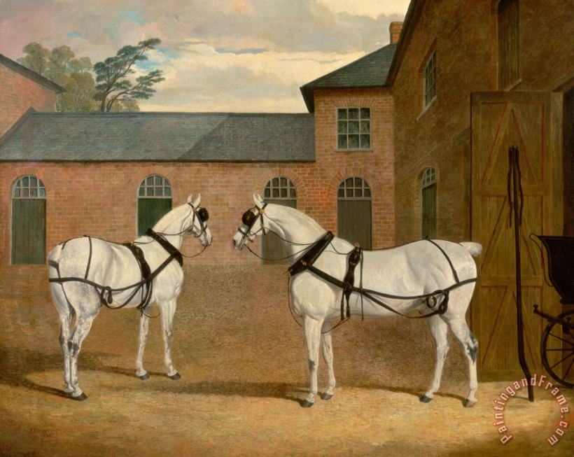 Grey Carriage Horses in The Coachyard at Putteridge Bury, Hertfordshire painting - John Frederick Herring Grey Carriage Horses in The Coachyard at Putteridge Bury, Hertfordshire Art Print