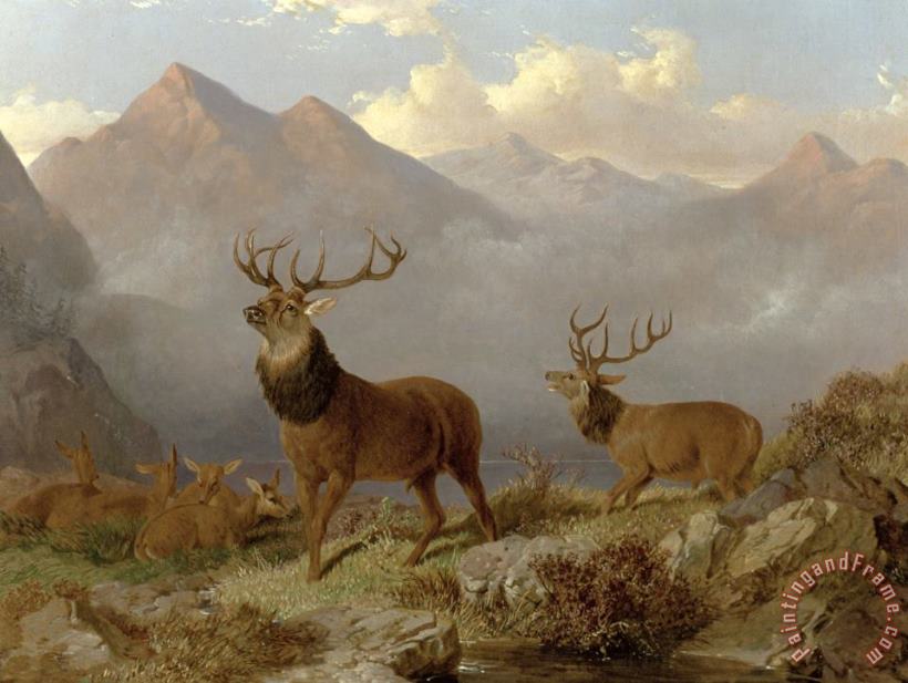 Stags And Hinds In A Highland Landscape painting - John Frederick Herring Jnr Stags And Hinds In A Highland Landscape Art Print