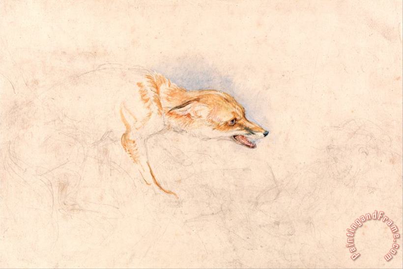 John Frederick Lewis Study of a Crouching Fox, Facing Right Art Painting