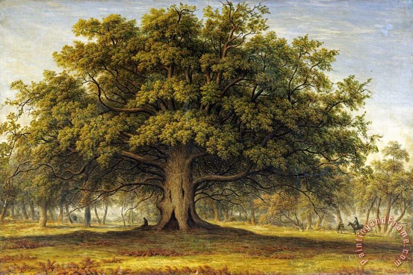 The Beggars Oak painting - John Glover The Beggars Oak Art Print