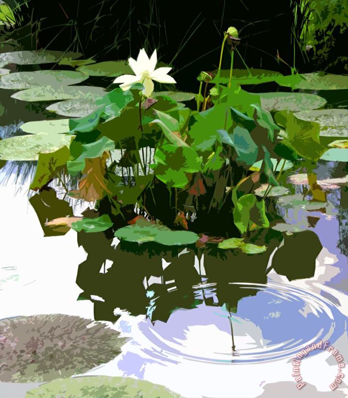 John Lautermilch Ripples on the Lotus Pond Art Print