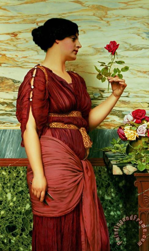 John William Godward A Red Rose Art Painting