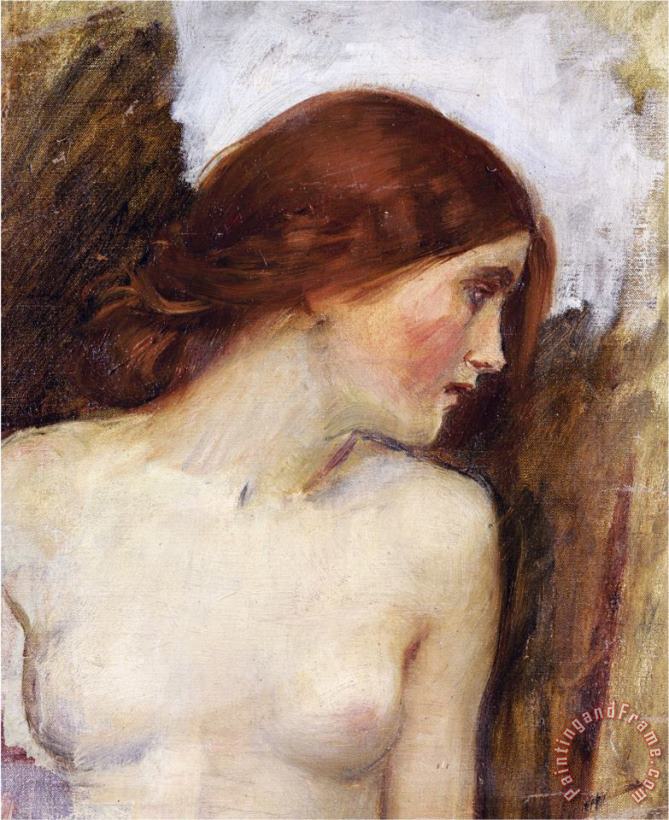Study for The Head of Echo painting - John William Waterhouse Study for The Head of Echo Art Print