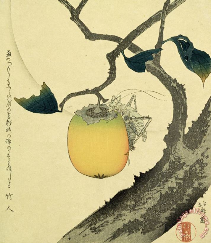 Katsushika Hokusai Moon Persimmon And Grasshopper Art Print