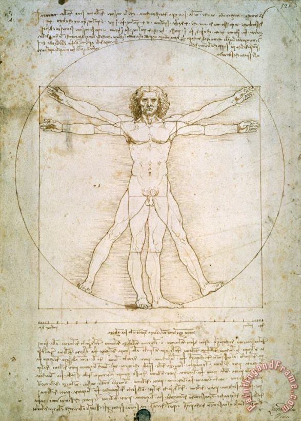 The Proportions of the Human Figure painting - Leonardo da Vinci The Proportions of the Human Figure Art Print