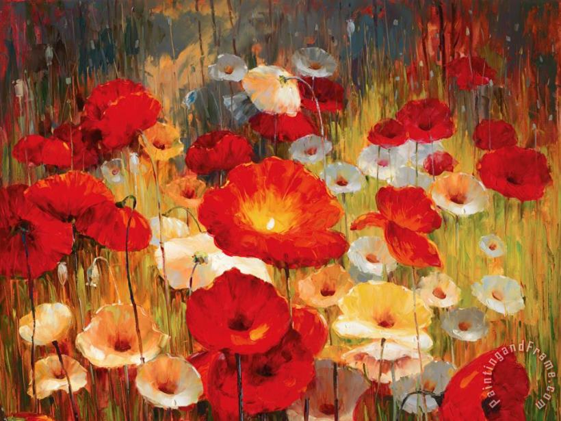 Lucas Santini Meadow Poppies I painting - Meadow Poppies I print for sale