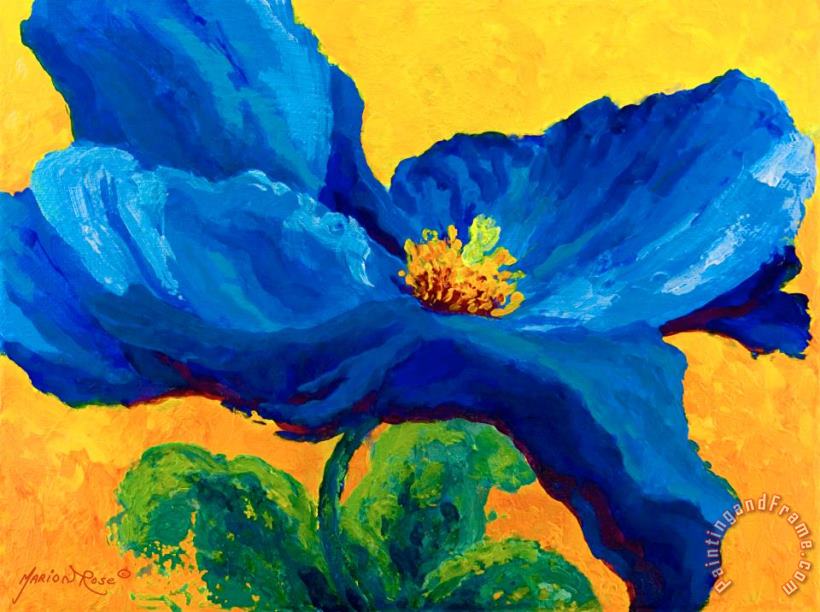 Marion Rose Blue Poppy Art Print