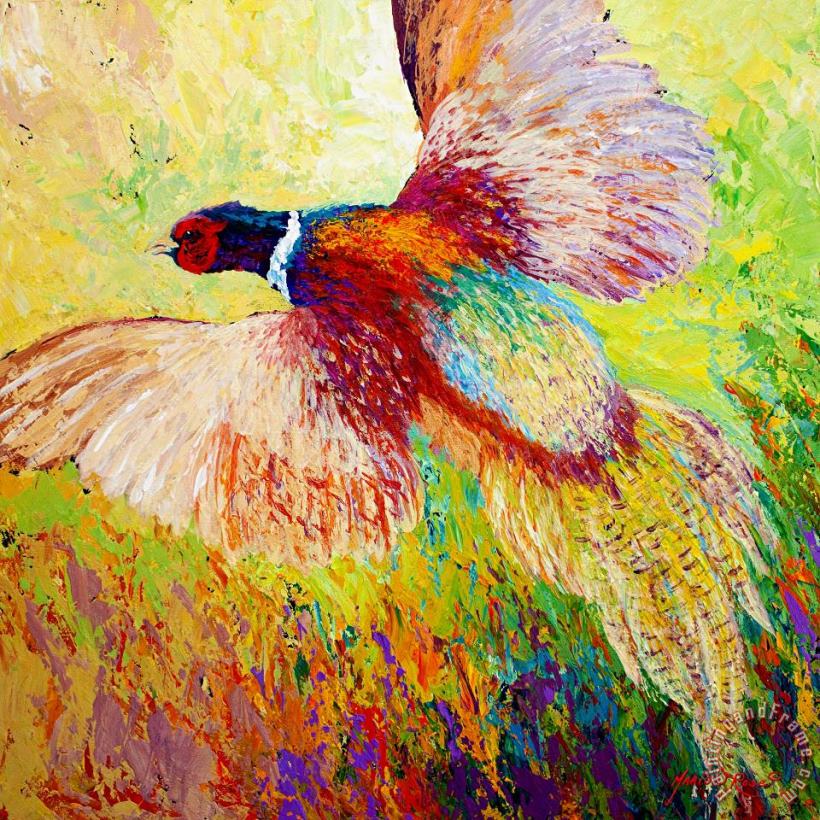 Marion Rose Flushed - Pheasant Art Print