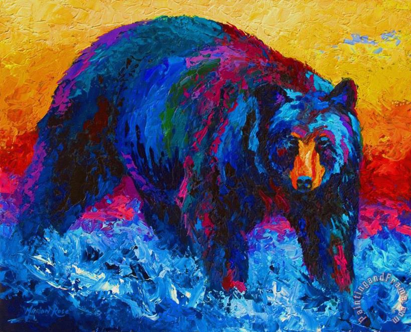 Marion Rose Scouting For Fish - Black Bear Art Print