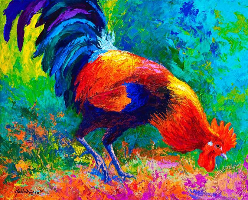 Marion Rose Scratchin - Rooster Art Painting