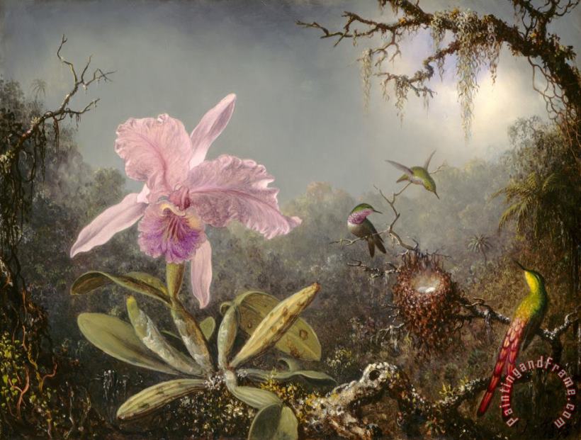 Martin Johnson Heade Cattelya Orchid And Three Brazilian Hummingbirds Art Painting