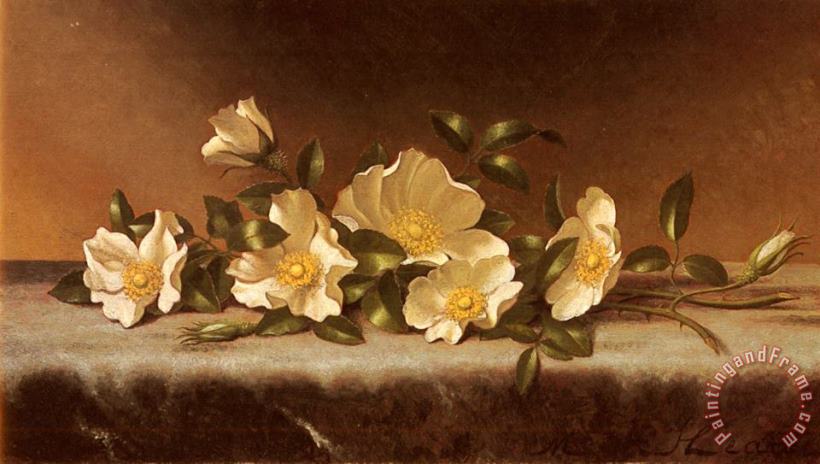 Cherokee Roses on a Light Gray Cloth painting - Martin Johnson Heade Cherokee Roses on a Light Gray Cloth Art Print