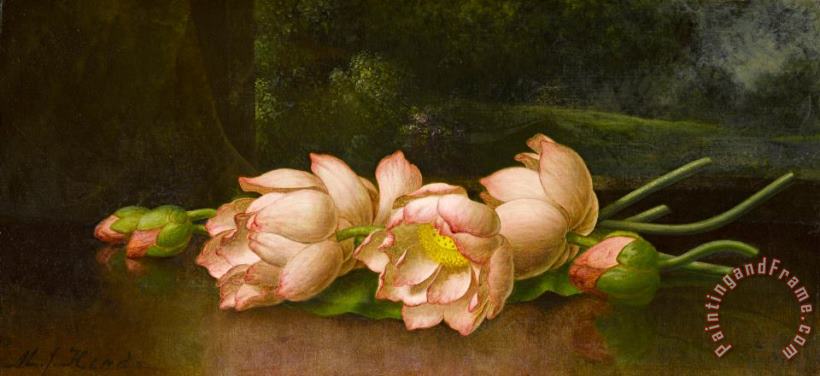 Martin Johnson Heade Lotus Flowers a Landscape Painting in The Background Art Painting