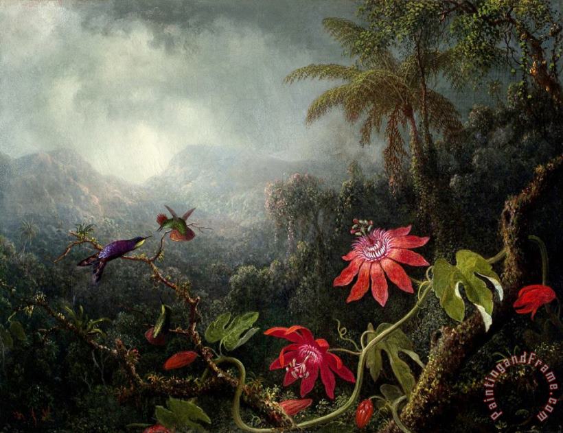 Martin Johnson Heade Passion Flowers with Three Hummingbirds Art Painting
