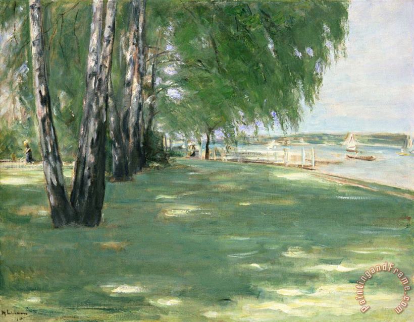 The Garden of the Artist in Wannsee painting - Max Liebermann The Garden of the Artist in Wannsee Art Print