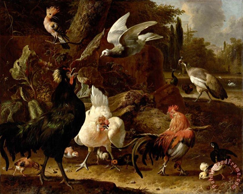Birds in a Park painting - Melchior de Hondecoeter Birds in a Park Art Print