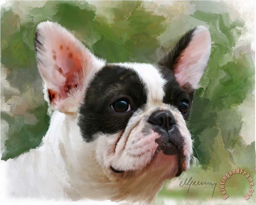 Pet Bulldog Portrait painting - Michael Greenaway Pet Bulldog Portrait Art Print