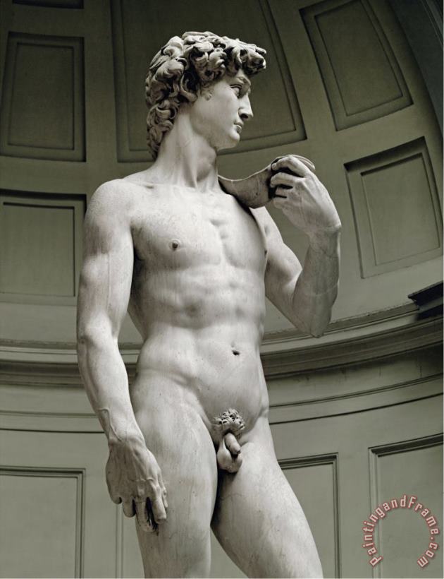 David 3 4 Profile painting - Michelangelo Buonarroti David 3 4 Profile Art Print