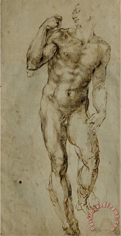 Michelangelo Buonarroti Nude Male Figure Seen Frontally Circa 1502 1506 Art Painting