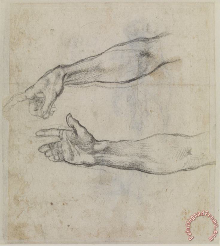 Michelangelo Buonarroti Studies of an Outstretched Arm for The Fresco 'the Drunkenness of Noah' in The Sistine Chapel. Art Painting