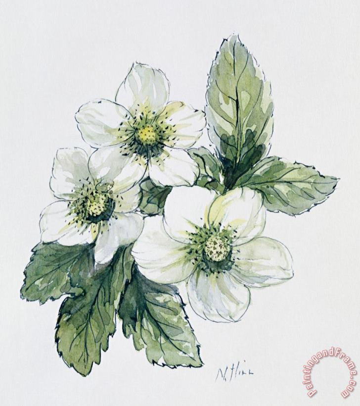 Nell Hill Christmas Rose Art Painting