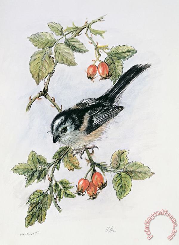Long Tailed Tit And Rosehips painting - Nell Hill Long Tailed Tit And Rosehips Art Print