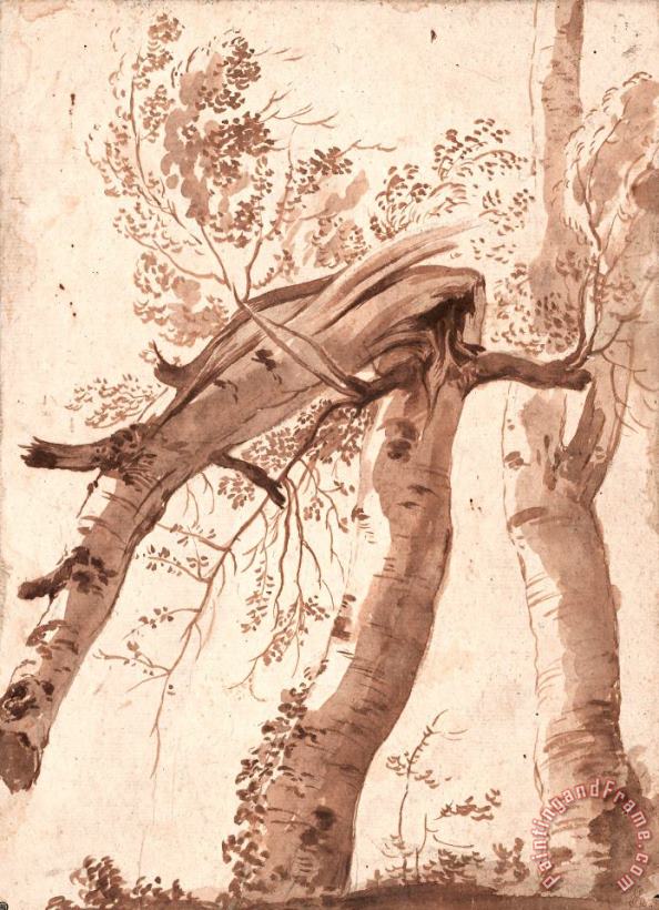 Two Silver Birches, The Front One Fallen, C. 1629 painting - Nicolas Poussin Two Silver Birches, The Front One Fallen, C. 1629 Art Print