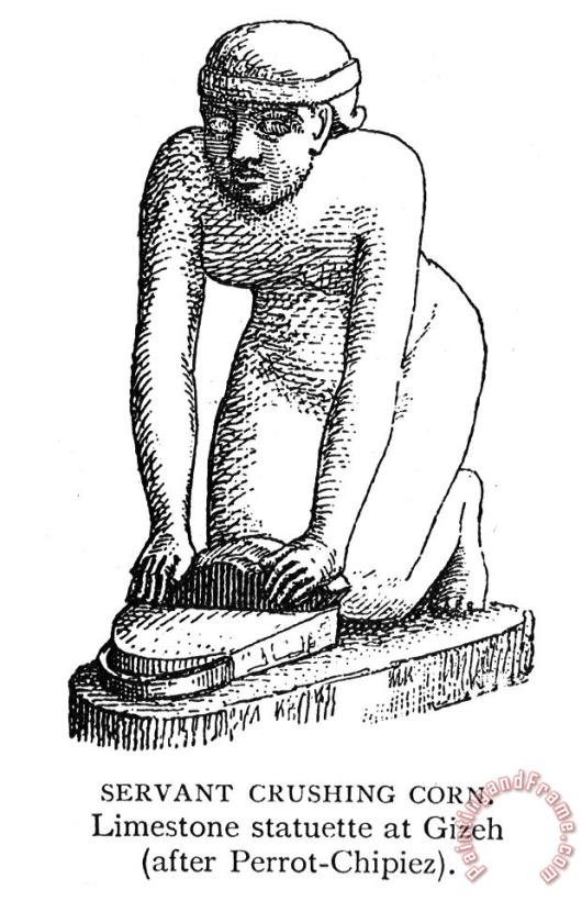 Others Ancient Egyptian Servant Art Print