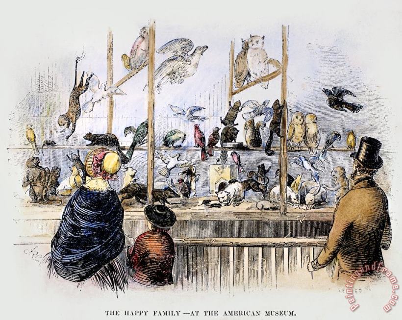 Others Barnums Museum, 1853 Art Print