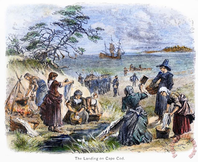 Cape Cod: Pilgrims painting - Others Cape Cod: Pilgrims Art Print