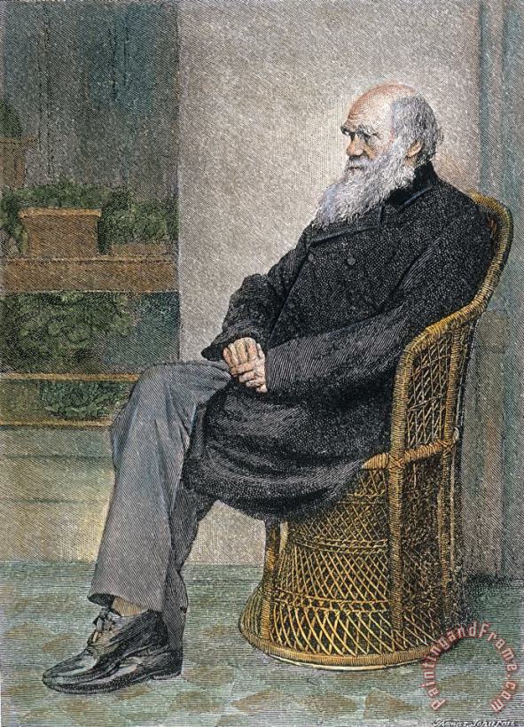 Charles Darwin (1809-1882) painting - Others Charles Darwin (1809-1882) Art Print