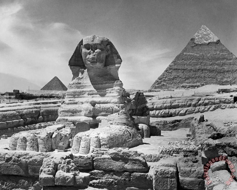 Others Egypt: Great Sphinx Art Print