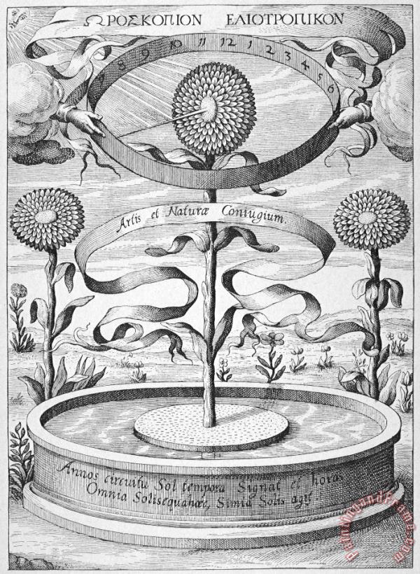 Flower Clock, 1643 painting - Others Flower Clock, 1643 Art Print