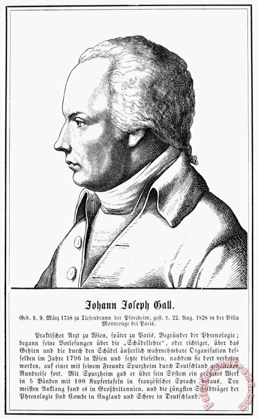 Franz Joseph Gall (1758-1828) painting - Others Franz Joseph Gall (1758-1828) Art Print