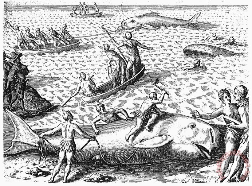 Others HARPOONING WHALES, c1590 Art Print